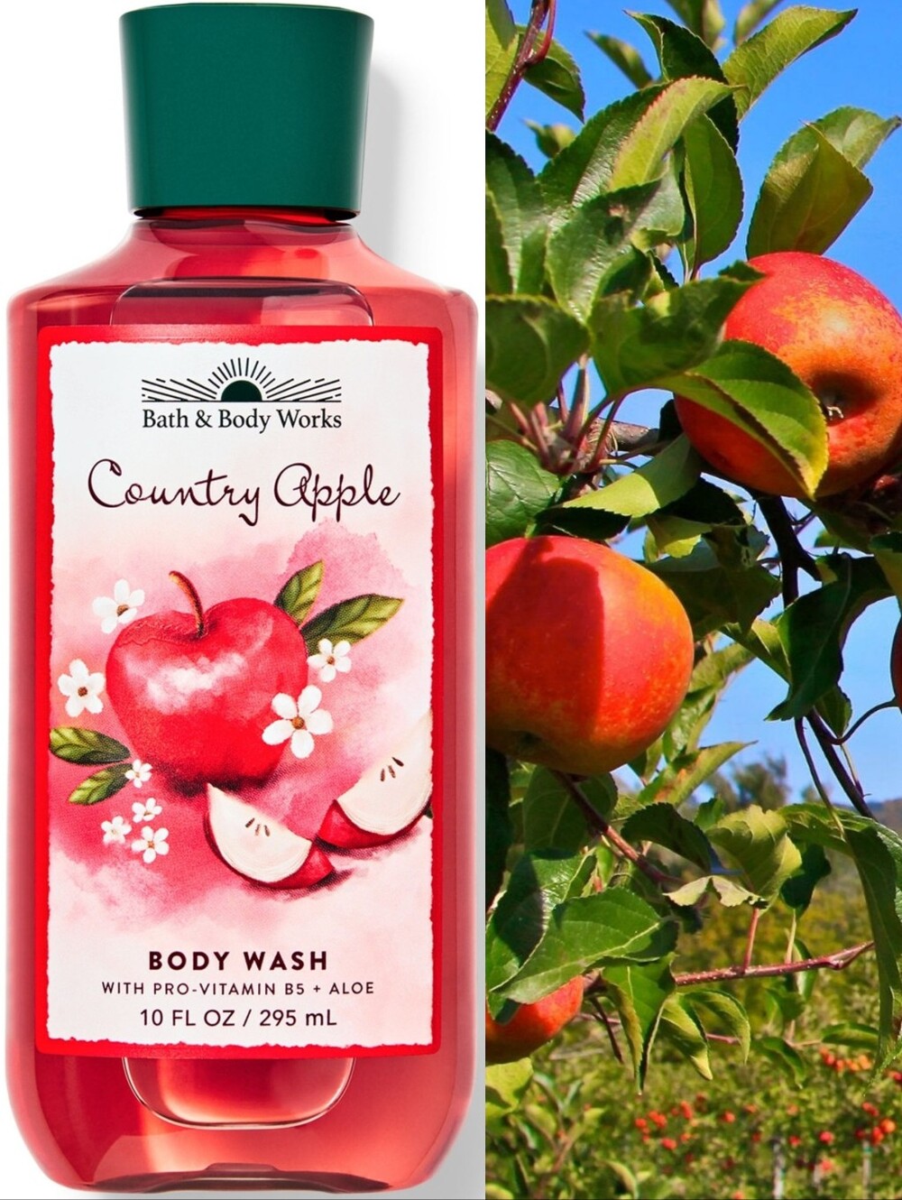 Bath & Body Works Country Apple Body Wash 10oz NEW RARE